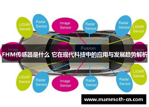 FHM传感器是什么 它在现代科技中的应用与发展趋势解析