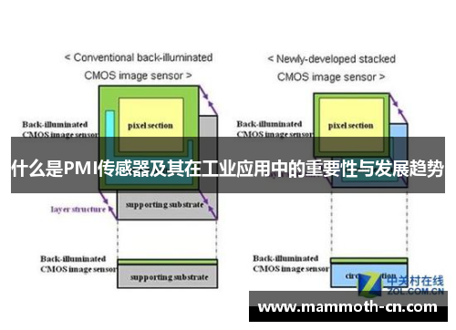 什么是PMI传感器及其在工业应用中的重要性与发展趋势