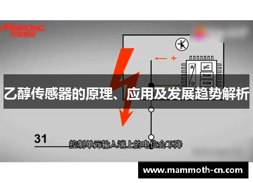 乙醇传感器的原理、应用及发展趋势解析